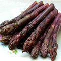 Vegetable Seeds,Garden seeds, Seeds For Planting,Plant Seeds