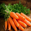 Vegetable Seeds,Garden seeds, Seeds For Planting,Plant Seeds