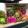 Fruit Seeds,Garden seeds, Seeds For Planting,Plant Seeds