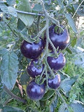 Vegetable Seeds,Garden seeds, Seeds For Planting,Plant Seeds