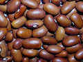 Vegetable Seeds,Garden seeds, Seeds For Planting,Plant Seeds