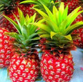 Fruit Seeds,Garden seeds, Seeds For Planting,Plant Seeds