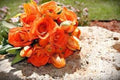 Flower Seeds, Seeds,Seeds For Planting,Plant Seeds