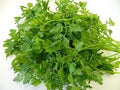 Vegetable Seeds,Garden seeds, Seeds For Planting,Plant Seeds