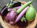Vegetable Seeds,Garden seeds, Seeds For Planting,Plant Seeds