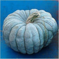 Vegetable Seeds,Garden seeds, Seeds For Planting,Plant Seeds