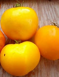 Vegetable Seeds,Garden seeds, Seeds For Planting,Plant Seeds