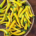 Vegetable Seeds,Garden seeds, Seeds For Planting,Plant Seeds