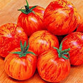 Vegetable Seeds,Garden seeds, Seeds For Planting,Plant Seeds