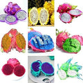 Fruit Seeds,Garden seeds, Seeds For Planting,Plant Seeds