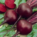 Vegetable Seeds,Garden seeds, Seeds For Planting,Plant Seeds