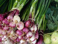 Vegetable Seeds,Garden seeds, Seeds For Planting,Plant Seeds