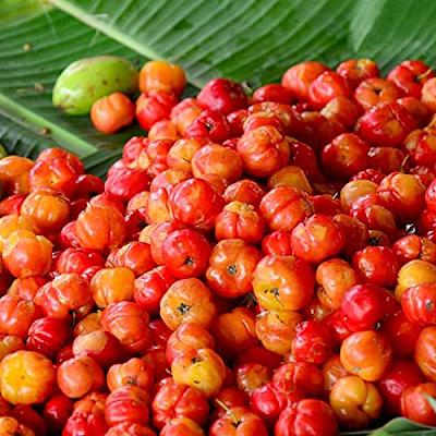 Fruit Seeds,Garden seeds, Seeds For Planting,Plant Seeds