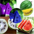 Fruit Seeds,Garden seeds, Seeds For Planting,Plant Seeds