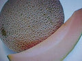 Fruit Seeds,Garden seeds, Seeds For Planting,Plant Seeds