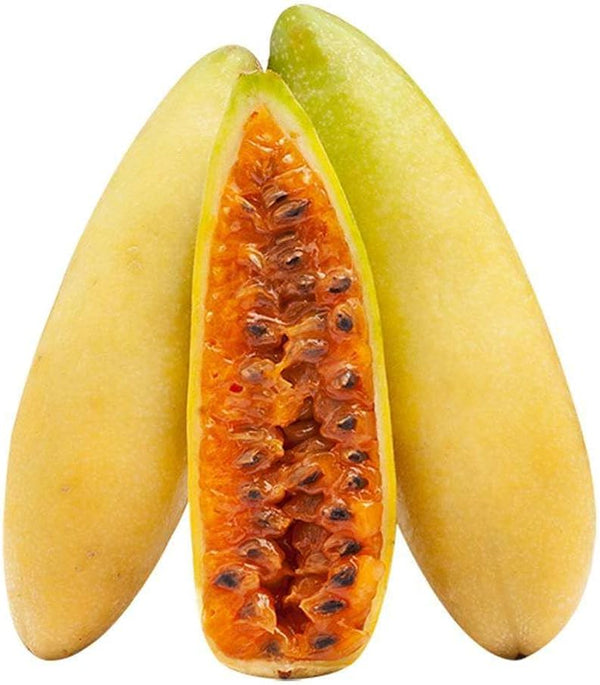 Fruit Seeds,Garden seeds, Seeds For Planting,Plant Seeds