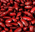 Vegetable Seeds,Garden seeds, Seeds For Planting,Plant Seeds