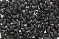 Vegetable Seeds,Garden seeds, Seeds For Planting,Plant Seeds