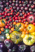 Vegetable Seeds,Garden seeds, Seeds For Planting,Plant Seeds