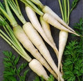 Vegetable Seeds,Garden seeds, Seeds For Planting,Plant Seeds