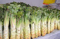 Vegetable Seeds,Garden seeds, Seeds For Planting,Plant Seeds