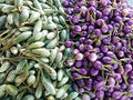 Vegetable Seeds,Garden seeds, Seeds For Planting,Plant Seeds