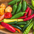 Vegetable Seeds,Garden seeds, Seeds For Planting,Plant Seeds