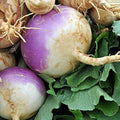 Vegetable Seeds,Garden seeds, Seeds For Planting,Plant Seeds