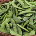 Vegetable Seeds,Garden seeds, Seeds For Planting,Plant Seeds