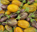 Vegetable Seeds,Garden seeds, Seeds For Planting,Plant Seeds