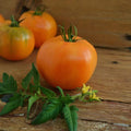 Vegetable Seeds,Garden seeds, Seeds For Planting,Plant Seeds