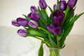 Flower Seeds, Seeds,Seeds For Planting,Plant Seeds