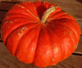 Vegetable Seeds,Garden seeds, Seeds For Planting,Plant Seeds