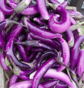 Vegetable Seeds,Garden seeds, Seeds For Planting,Plant Seeds