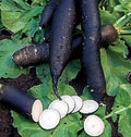Vegetable Seeds,Garden seeds, Seeds For Planting,Plant Seeds