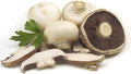 Vegetable Seeds,Garden seeds, Seeds For Planting,Plant Seeds