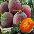 Fruit Seeds,Garden seeds, Seeds For Planting,Plant Seeds