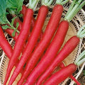 Vegetable Seeds,Garden seeds, Seeds For Planting,Plant Seeds