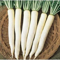 Vegetable Seeds,Garden seeds, Seeds For Planting,Plant Seeds