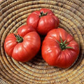Vegetable Seeds,Garden seeds, Seeds For Planting,Plant Seeds