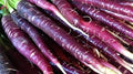 Vegetable Seeds,Garden seeds, Seeds For Planting,Plant Seeds