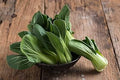 Vegetable Seeds,Garden seeds, Seeds For Planting,Plant Seeds