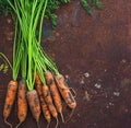 Little Finger Carrot Seeds – Heirloom Non-GMO Sweet Mini Root Vegetable Seeds for Planting, Organic Garden Seeds