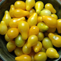 Vegetable Seeds,Garden seeds, Seeds For Planting,Plant Seeds