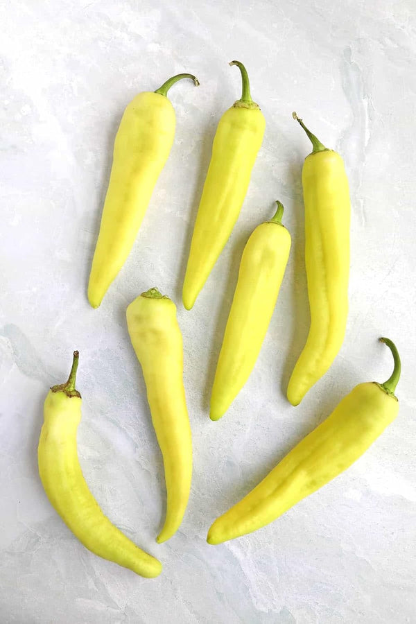 Vegetable Seeds,Garden seeds, Seeds For Planting,Plant Seeds