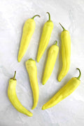 Vegetable Seeds,Garden seeds, Seeds For Planting,Plant Seeds