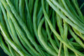 Vegetable Seeds,Garden seeds, Seeds For Planting,Plant Seeds