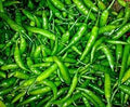 Vegetable Seeds,Garden seeds, Seeds For Planting,Plant Seeds