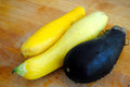 Vegetable Seeds,Garden seeds, Seeds For Planting,Plant Seeds