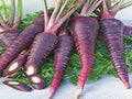 Vegetable Seeds,Garden seeds, Seeds For Planting,Plant Seeds